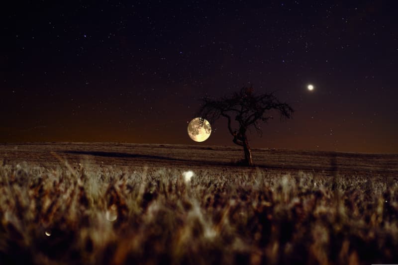 June 5-12, 2026 Night Sky Observation Guide: Venus and Jupiter in Close Approach, Deep-Sky Objects Galore!