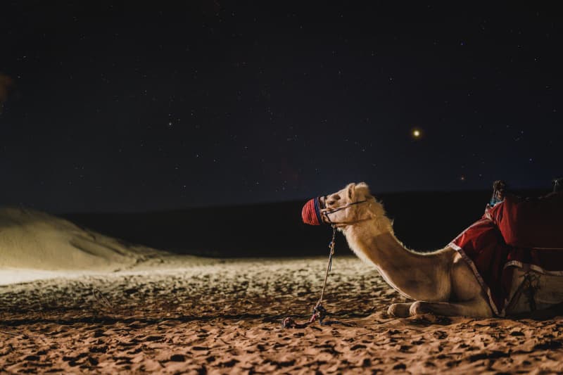 What do you need to prepare for your first stargazing trip? North American astronomy beginner equipment, star finding, and dealing with light pollution.